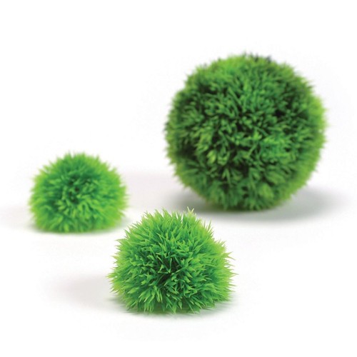 Biorb easy plant - easy, green