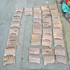 41 Reclaimed victorian garden