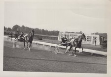 Darn Flashy - East Coast