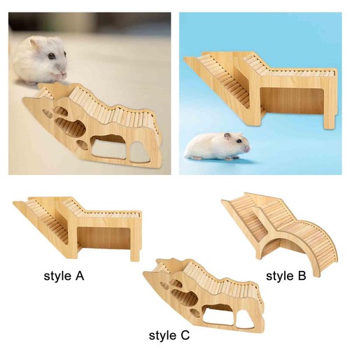 Hamster house and - and, habitat