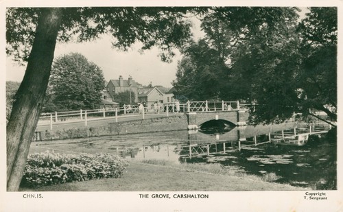 Carshalton surrey the - surrey, grove