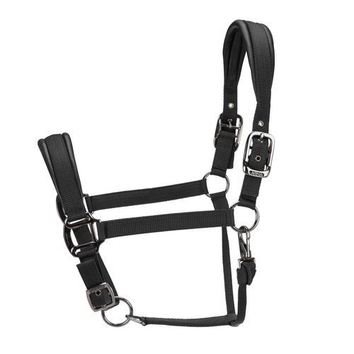Shires arma pro - shires, padded