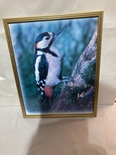 Garage Find Vintage Framed