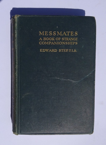 Edward step messmates a - step,