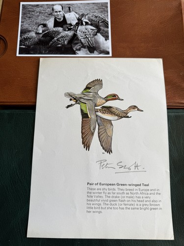 Sir peter scott original - (bf1),