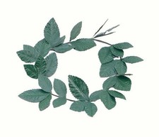 Green Laurel Leaf Headband –