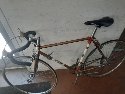 Vintage raliegh carlton - vintage,