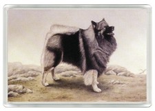 KEESHOND DOG ART PRINT NOVELTY