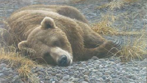 Grizzly rest robert - rest, by