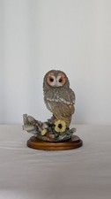 Country Artists Tawny Owl with
