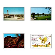 Lot of 4 Vintage Arizona