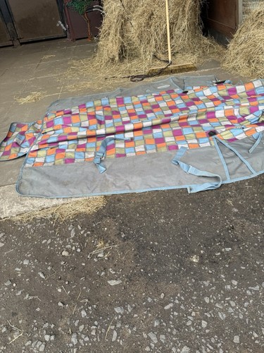 Horse rugs turnout - horse,