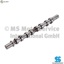 CAMSHAFT 50006316 FOR