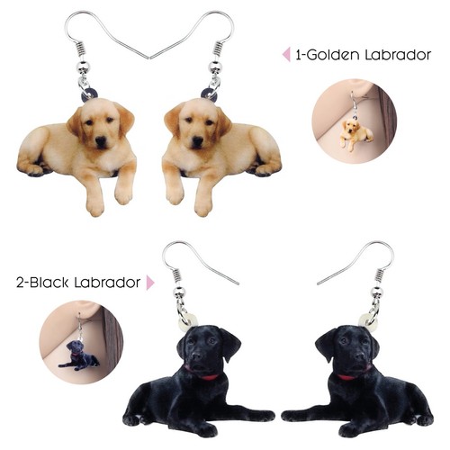 Golden black labrador - golden, or