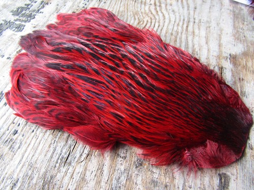 Ifs red badger hen - red,