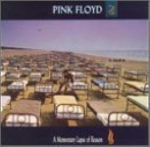 Pink floyd momentary lapse - pink,