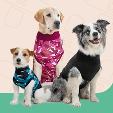 Suitical Recovery Suit for Dog