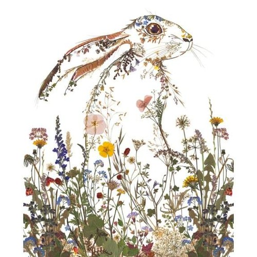 Wild press wildflower hare - wild,
