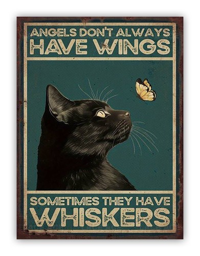 Funny black cat angels - black, "
