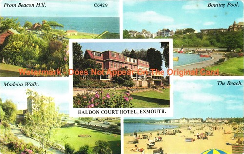 Haldon court hotel exmouth - hotel,
