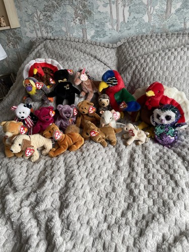 Beanie babies collection - beanie,