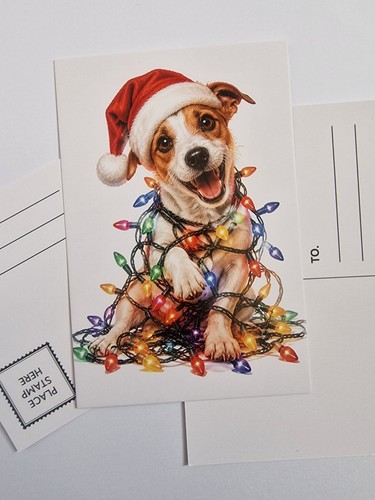 Jrt jack russell terrier - russell,