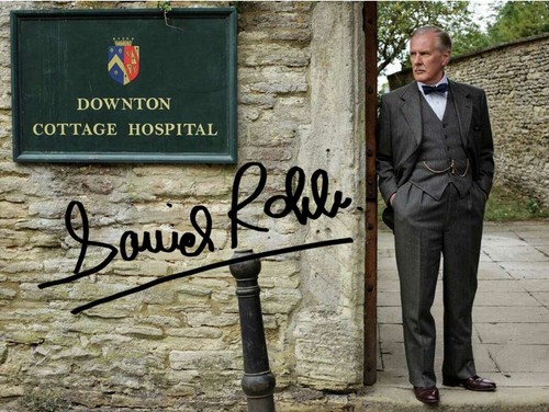 Downton abbey david - downton, robb