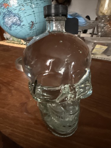 Clear glass skull liquor empty - glass,