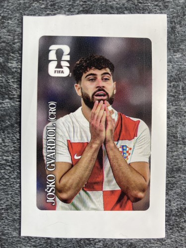 Hand josko gvardiol panini - in, hand!
