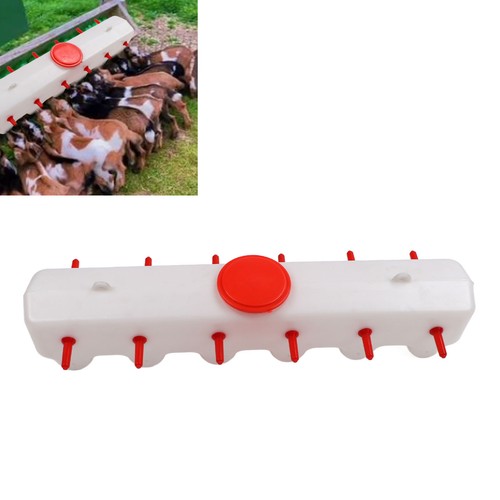 Lamb milk nipples red - milk,