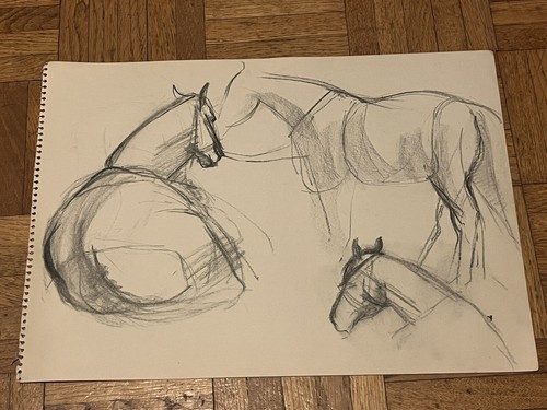 Pencil sketch horses - sketch,