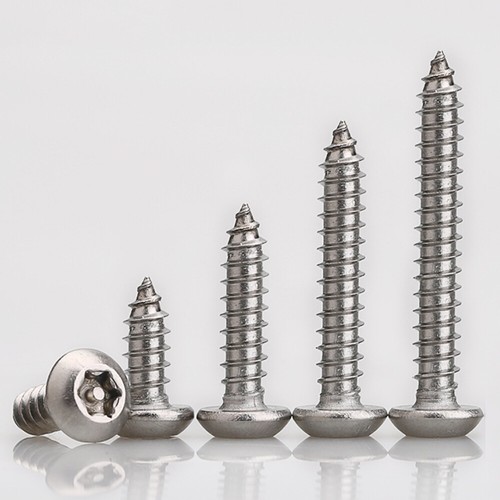 Torx security screw 304 - security,