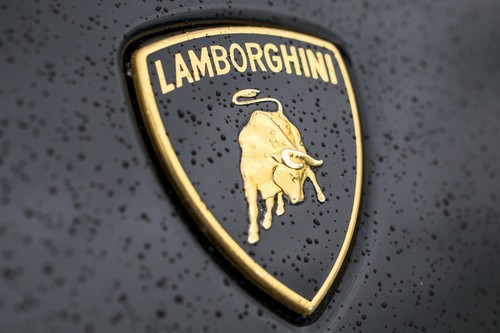 Lamborghini bull logo - lamborghini,