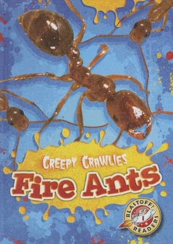 Fire ants kari schuetz - fire, new