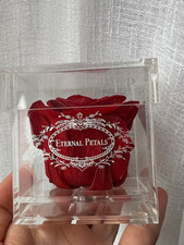 100% Real Rose That Lasts Years Eternal Petals - Perfect Valentine's Day Gift!!!