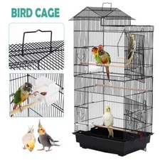 Flight cage wide bird - flight,