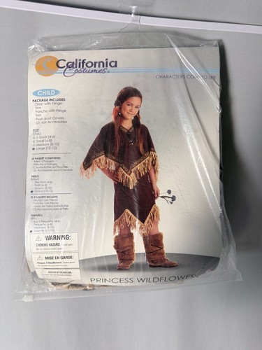 Native american costume with - american,