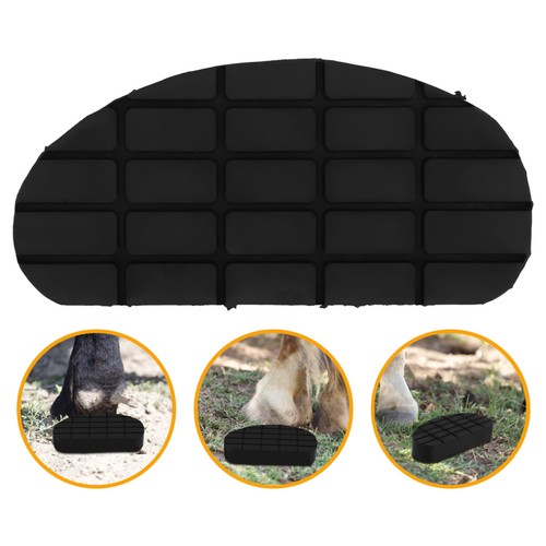 Hoof stand magnets poultice - hoof,