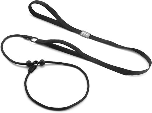 Slip lead for dogs - dogs, with