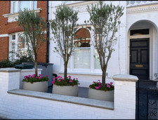 3 beautiful matching olive