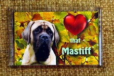 English Mastiff Gift Dog