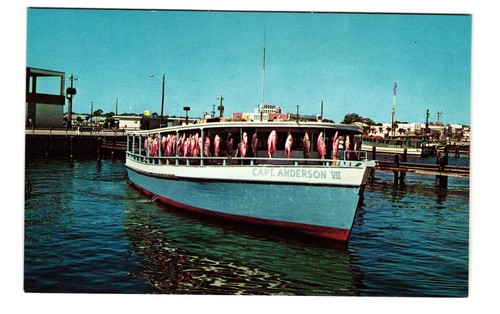 Let deep sea fishing - let's,