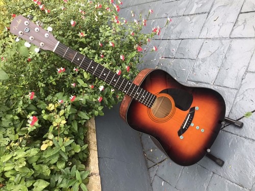 Fender acoustic 5sbst - fender, cg-5sbst
