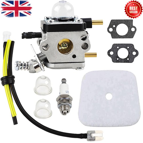 Carburetor for stroke - carburetor, mantis