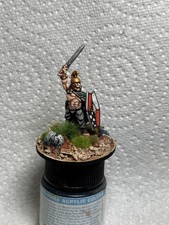 25mm 28mm well painted Celt