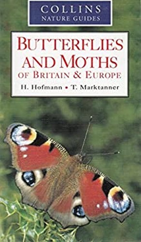 Butterflies and moths - and,