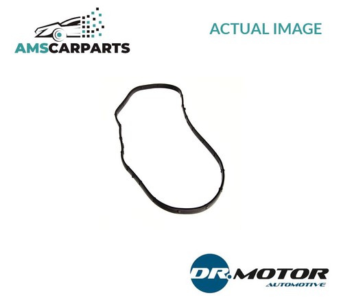 Gasket timing case cover - gasket,