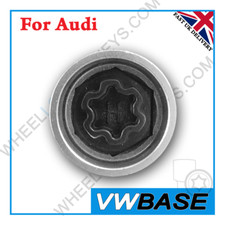 for Audi Security Master