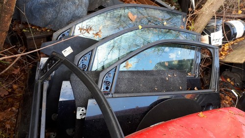 Ford fiesta panther black - fiesta,