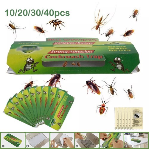 40x cockroach traps - cockroach, killer